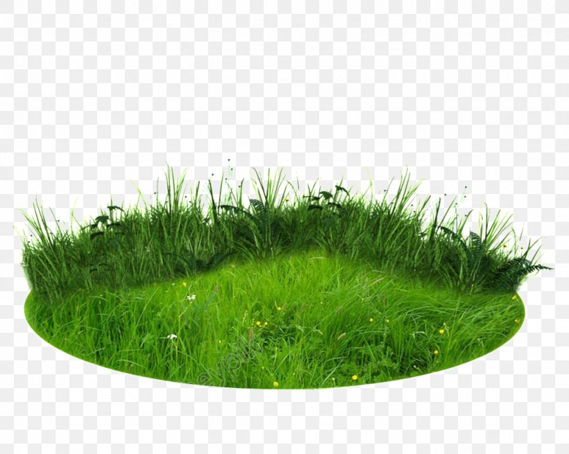 Clip Art Image Graphic Design Free Content, PNG, 1024x819px, Architecture, Art, Artificial Turf, Fodder, Grass Download Free