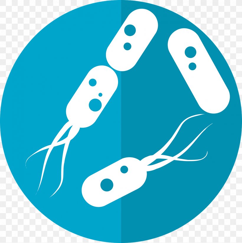 Bacteria Microorganism Gut Flora Microbiota Gastrointestinal Tract, PNG, 1277x1280px, Bacteria, Aqua, Artwork, Blue, Disease Download Free