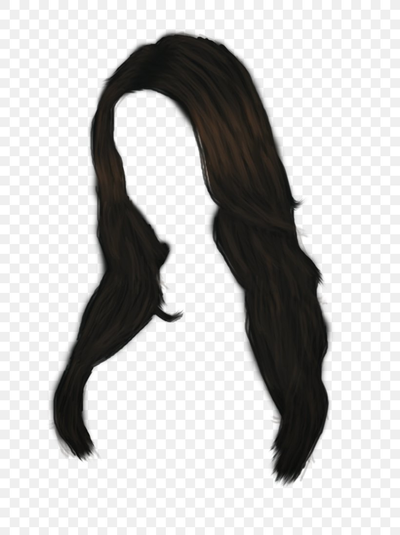Black Hair Brown Hair Clip Art, PNG, 728x1096px, Hair, Auburn Hair, Black Hair, Blond, Brown Hair Download Free