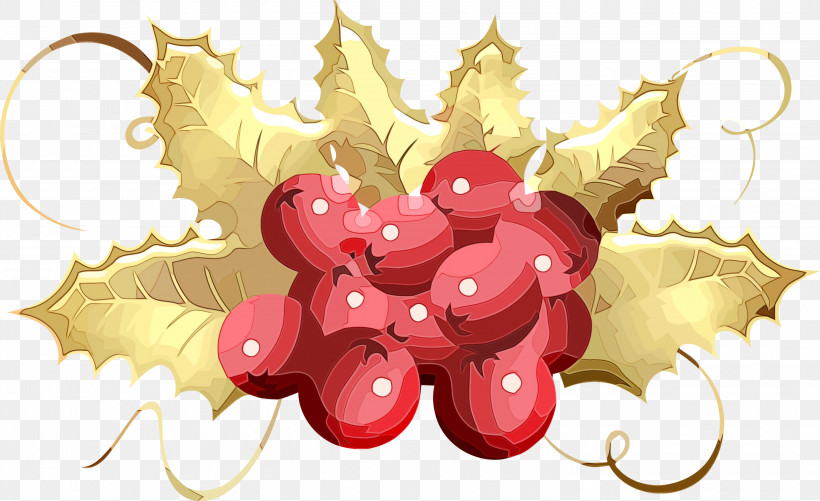 Grape Grapevine Family Vitis Plant Fruit, PNG, 3000x1834px, Christmas Ornament, Fruit, Grape, Grapevine Family, Paint Download Free