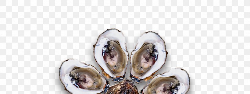 Oyster Mussel Body Jewellery, PNG, 900x340px, Oyster, Animal Source Foods, Body Jewellery, Body Jewelry, Clams Oysters Mussels And Scallops Download Free