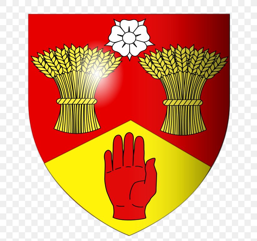 Derry Counties Of Ireland County Coleraine, PNG, 768x768px, Derry, Coat Of Arms, Coleraine, Counties Of Ireland, County Download Free