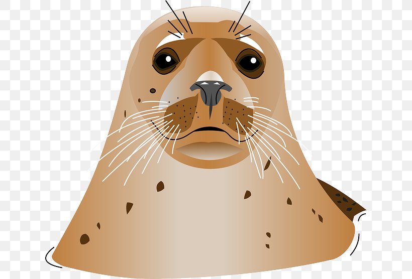 Earless Seal A Seal Clip Art, PNG, 640x556px, Earless Seal, Animal, Art, Carnivoran, Drawing Download Free