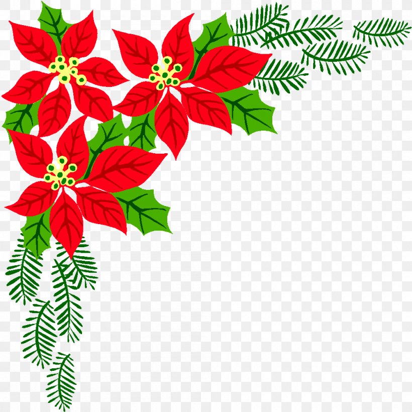 Poinsettia Christmas Flower Clip Art, PNG, 1000x1000px, Poinsettia, Aquifoliaceae, Branch, Christmas, Christmas Decoration Download Free