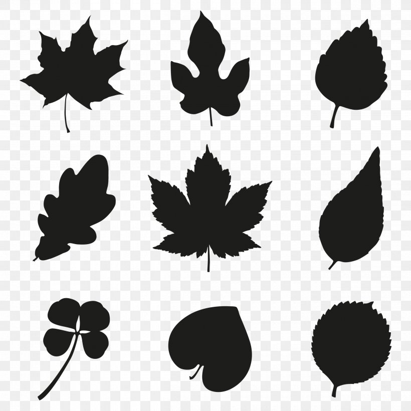 Vector Graphics Silhouette Image Illustration Drawing, PNG, 2500x2500px, Silhouette, Black And White, Branch, Drawing, Fall Tree Download Free