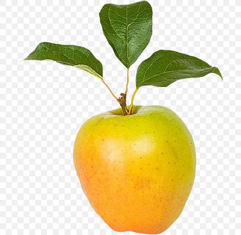 Citrus Natural Foods Fruit Tree Apple, PNG, 703x800px, Citrus, Apple, Food, Fruit, Fruit Tree Download Free