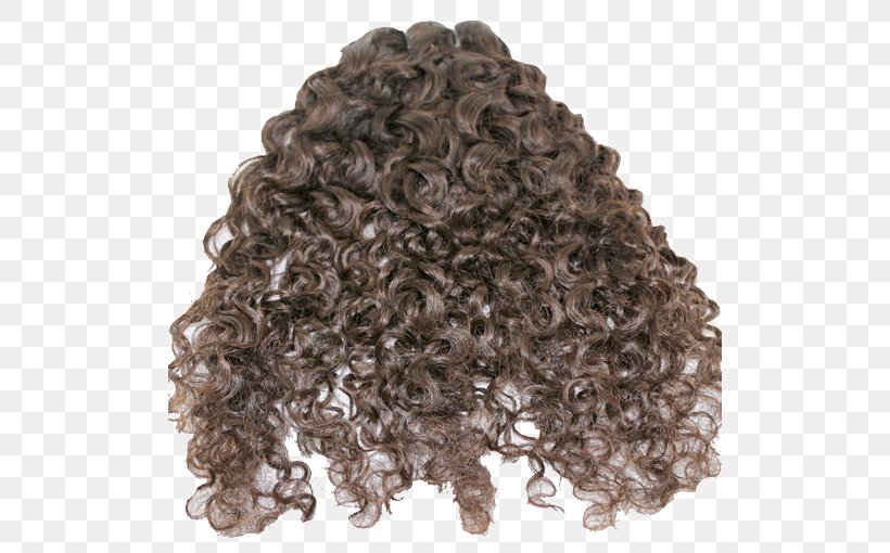 Wig Long Hair Homo Sapiens, PNG, 510x510px, Wig, Hair, Homo Sapiens, Human, Long Hair Download Free