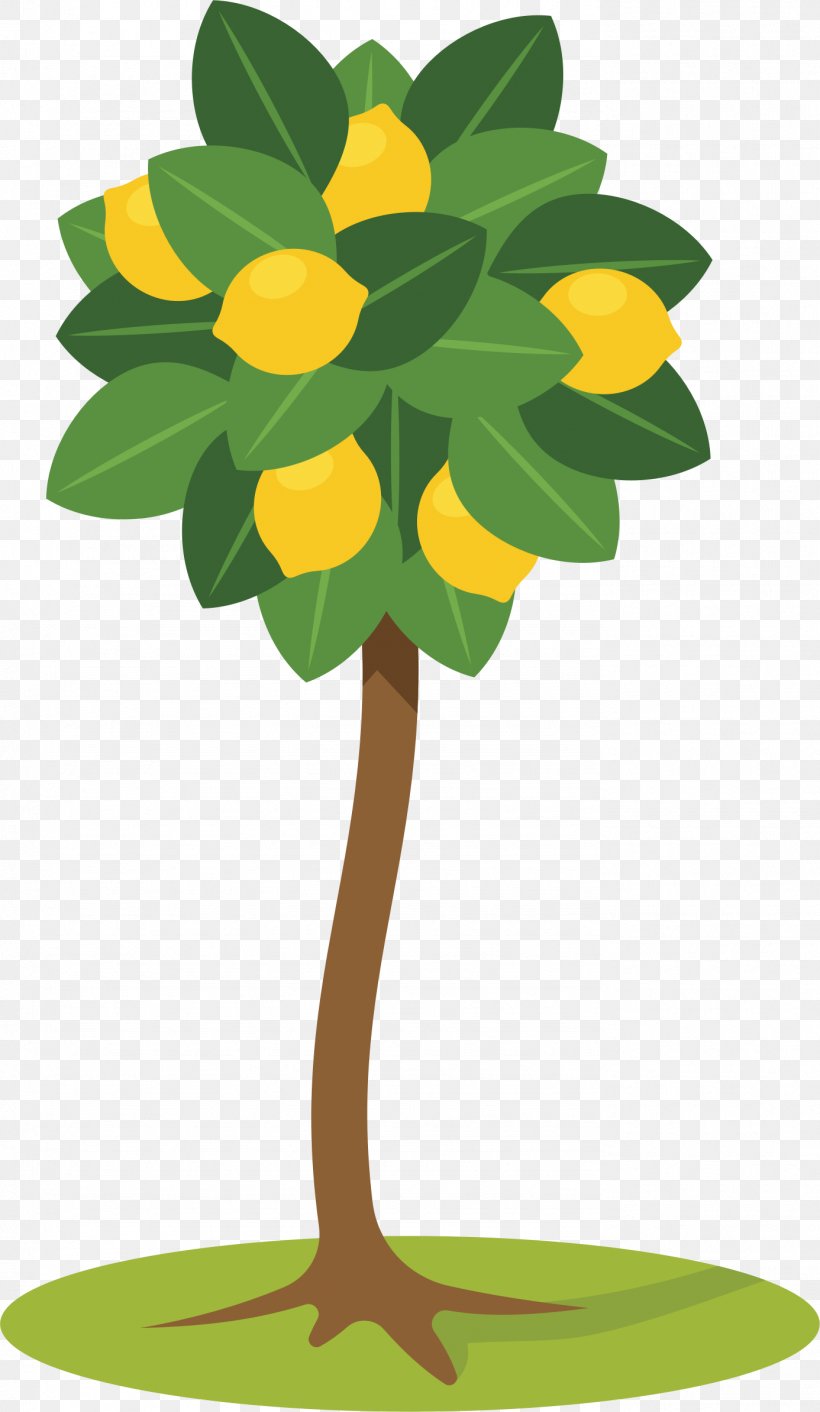 Download Clip Art, PNG, 1386x2388px, Tree, Branch, Flora, Flower, Flowering Plant Download Free