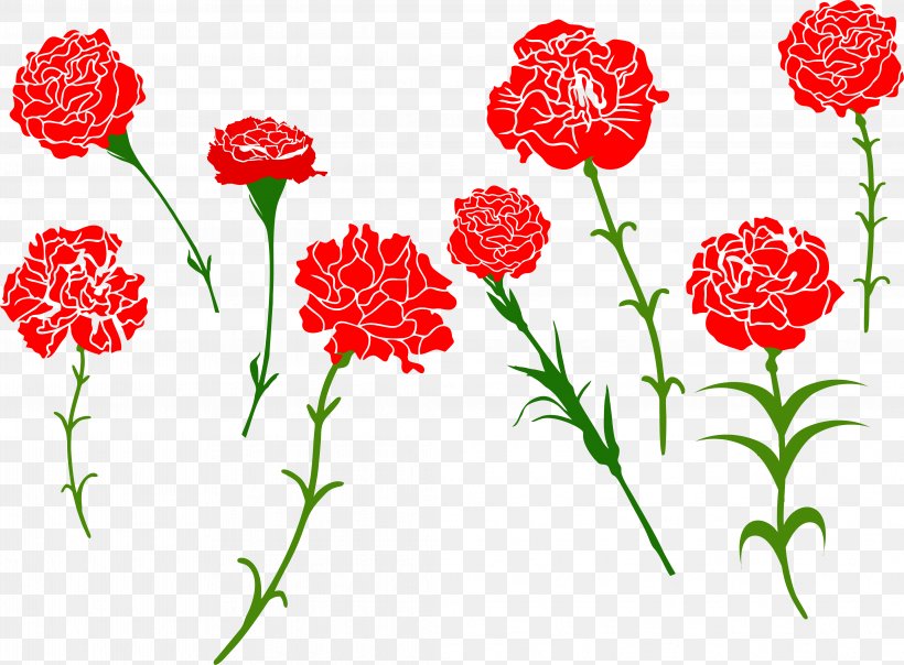 Carnation Royalty-free Flower Clip Art, PNG, 4246x3130px, Carnation, Annual Plant, Art, Artwork, Cut Flowers Download Free