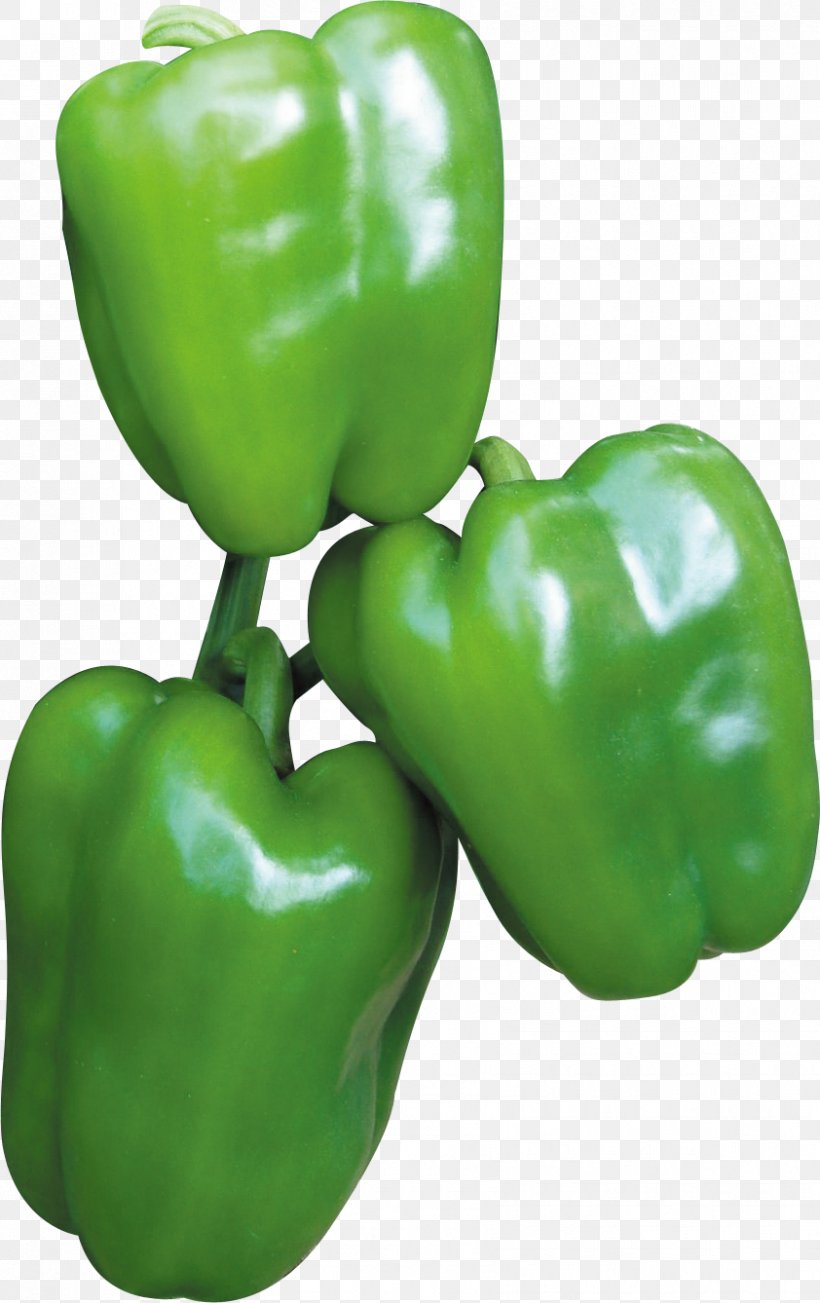 Chili Pepper Bell Pepper Cubanelle Yellow Pepper Paprika, PNG, 842x1338px, Chili Pepper, Auglis, Bell Pepper, Bell Peppers And Chili Peppers, Capsicum Download Free