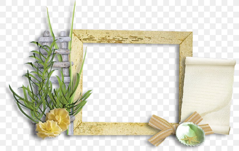 Picture Frames Borders And Frames Floral Design Clip Art, PNG, 800x518px, Picture Frames, Borders And Frames, Decorative Arts, Film Frame, Floral Design Download Free