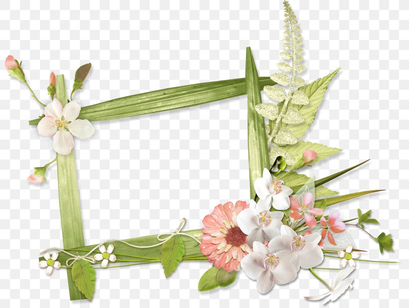 Picture Frames Photography, PNG, 800x618px, Picture Frames, Artificial Flower, Blossom, Cut Flowers, Digital Media Download Free