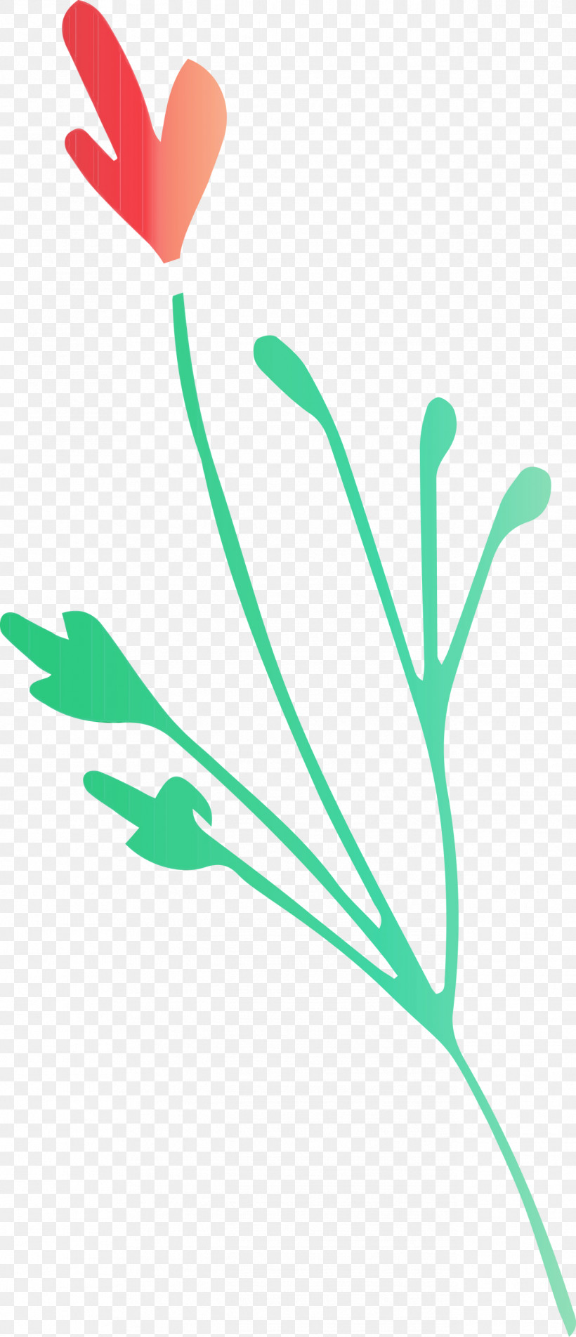 Plant Stem Leaf Green Line Meter, PNG, 1292x3000px, Leaf Branch, Biology, Green, Leaf, Line Download Free