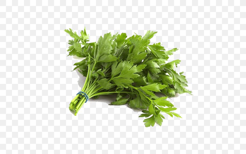 Parsley Organic Food Vegetable Leaf, PNG, 514x514px, 5 A Day, Parsley, Celery, Coriander, Fennel Download Free