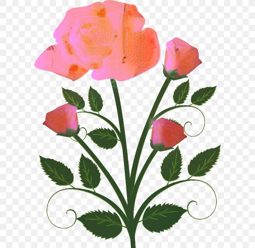 Clip Art Vector Graphics Flower Bouquet Rose, PNG, 601x799px, Flower Bouquet, Botany, Bud, Floral Design, Flower Download Free