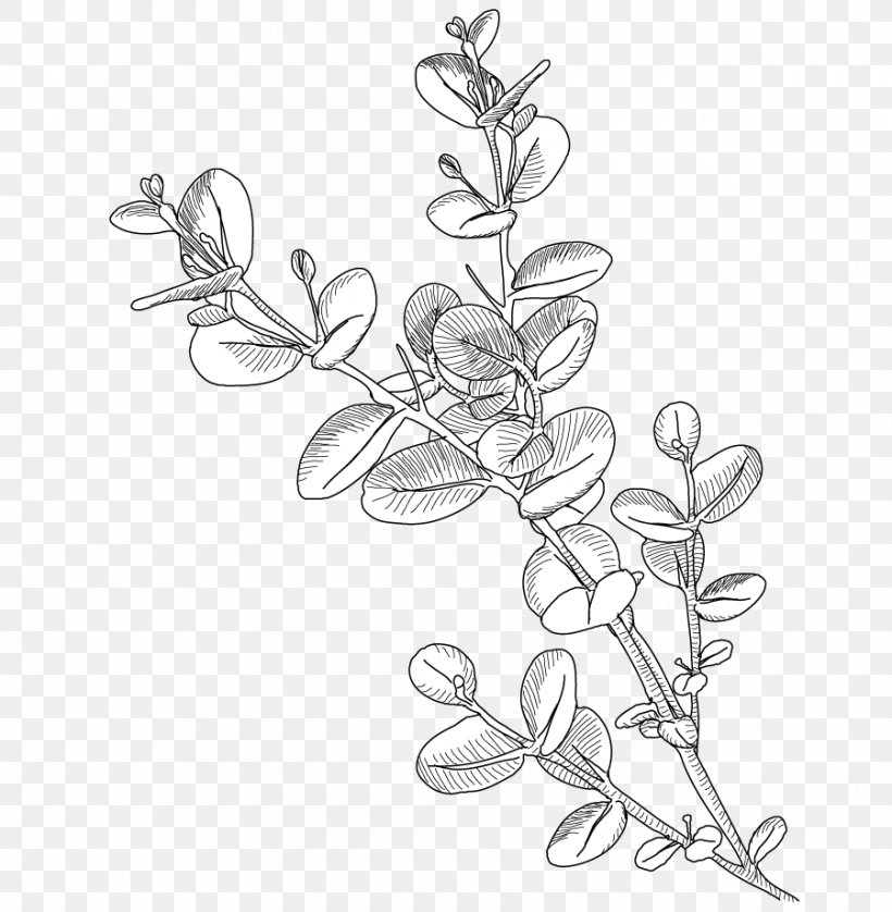 /m/02csf Drawing Leaf Line Art, PNG, 900x920px, Drawing, Artwork, Black And White, Body Jewellery, Body Jewelry Download Free