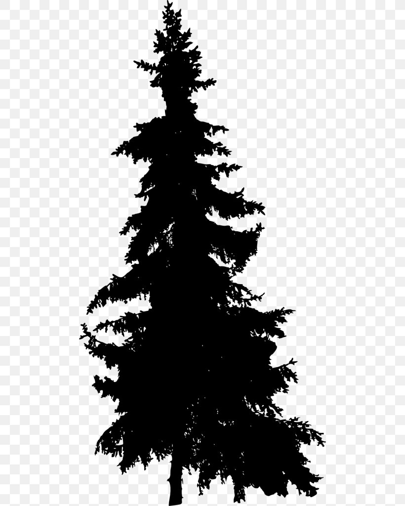 Spruce Pine Fir Tree, PNG, 500x1024px, Spruce, Black And White, Branch, Christmas Decoration, Christmas Ornament Download Free