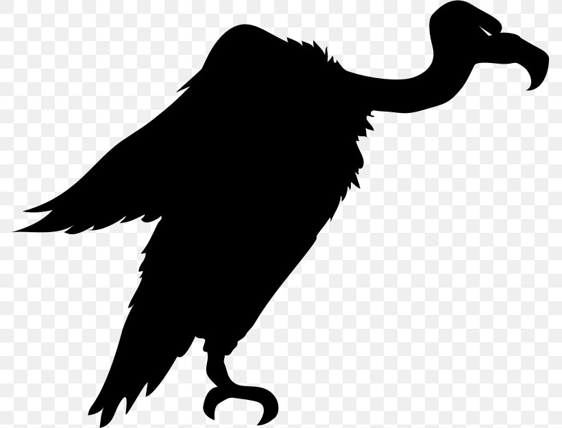 Bird Turkey Vulture Silhouette Clip Art, PNG, 785x625px, Bird, Beak, Bird Of Prey, Black And White, Condor Download Free