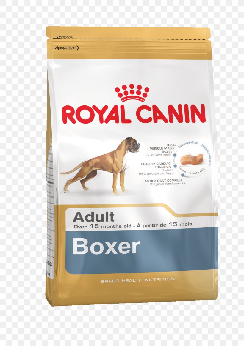 Boxer Puppy Bichon Frise Bulldog Dog Food, PNG, 1240x1754px, Boxer, Bichon Frise, Breed, Bulldog, Dog Download Free