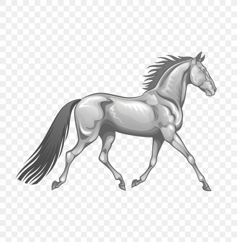 Horse Stallion Gallop Photography Illustration, PNG, 1240x1265px, Horse, Black And White, Bridle, Colt, Drawing Download Free
