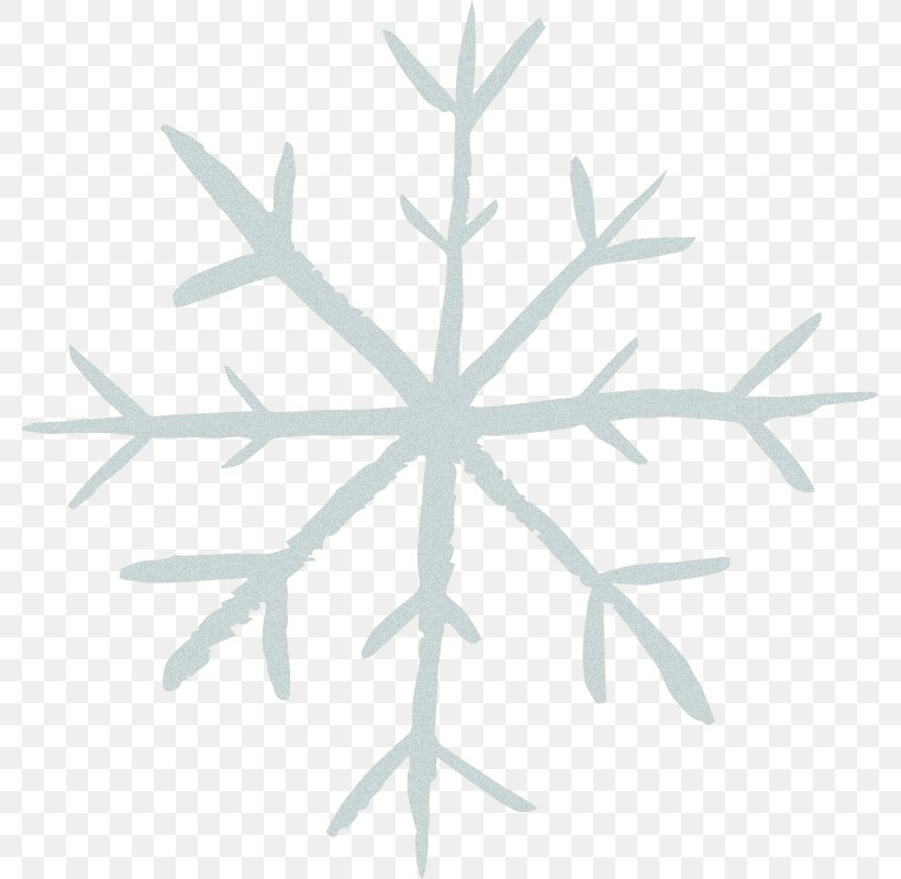 Snowflake Vector Graphics Royalty-free Illustration, PNG, 800x800px, Snowflake, Christmas Day, Colorado Spruce, Ornament, Royaltyfree Download Free