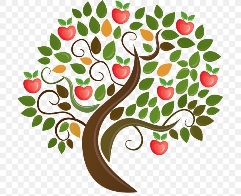 Apple Tree Preschool And Kindergarten Pre-school Child Education, PNG, 699x668px, Apple, Apples, Art, Botany, Branch Download Free