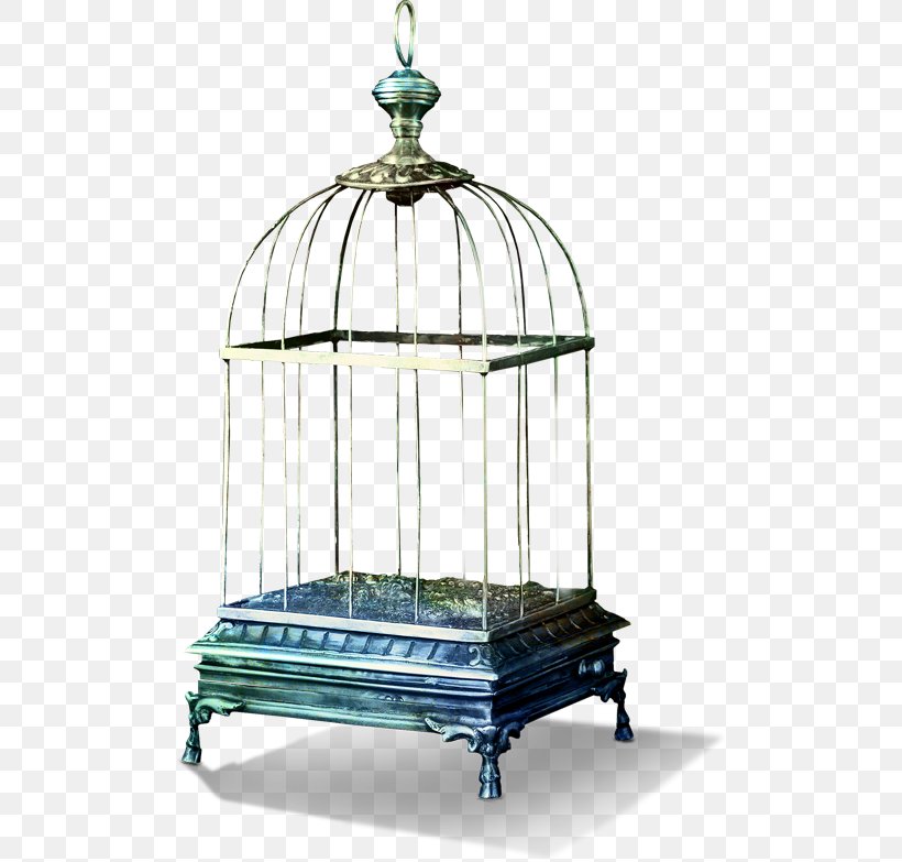 Birdcage Birdcage, PNG, 500x783px, Cage, Bird, Birdcage, Furniture, Google Images Download Free