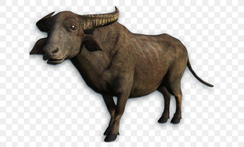 Buffalo Clip Art Image Transparency, PNG, 661x497px, Buffalo, Animal Figure, Bovine, Bull, Cowgoat Family Download Free
