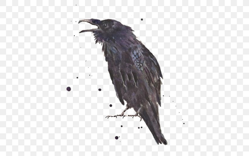 Common Raven The Raven Art Printmaking, PNG, 564x515px, Common Raven, American Crow, Art, Artist, Beak Download Free