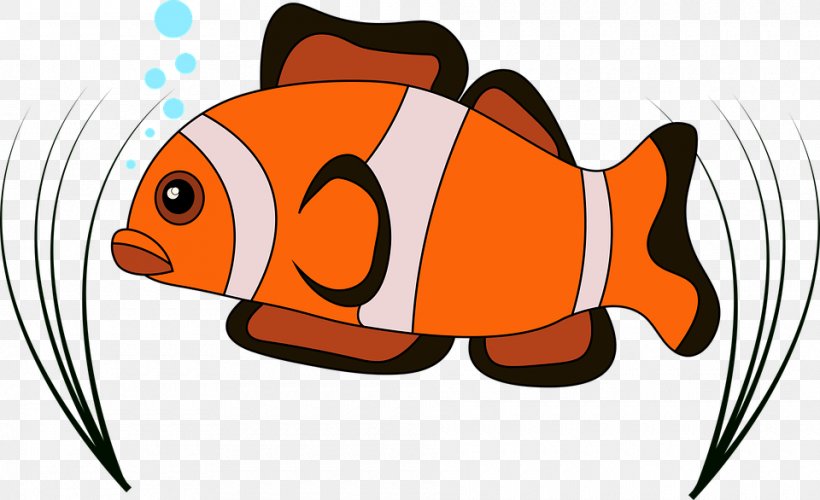 Image Vector Graphics Clown Saltwater Fish, PNG, 960x586px, Clown, Aquatic Animal, Art, Carnivoran, Cartoon Download Free