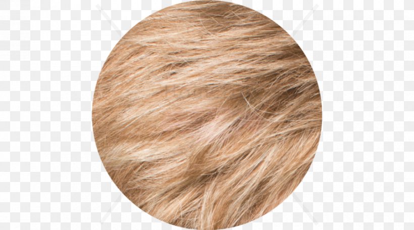 Blond Hair Coloring Brown Hair, PNG, 900x500px, Blond, Beige, Brown, Brown Hair, Hair Download Free