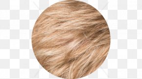 Hair - Blond Hair Coloring Brown Hair PNG