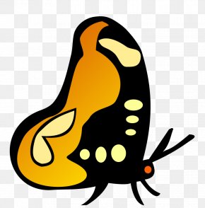 Vector Butterfly - Butterfly Cdr Royalty-free Clip Art PNG