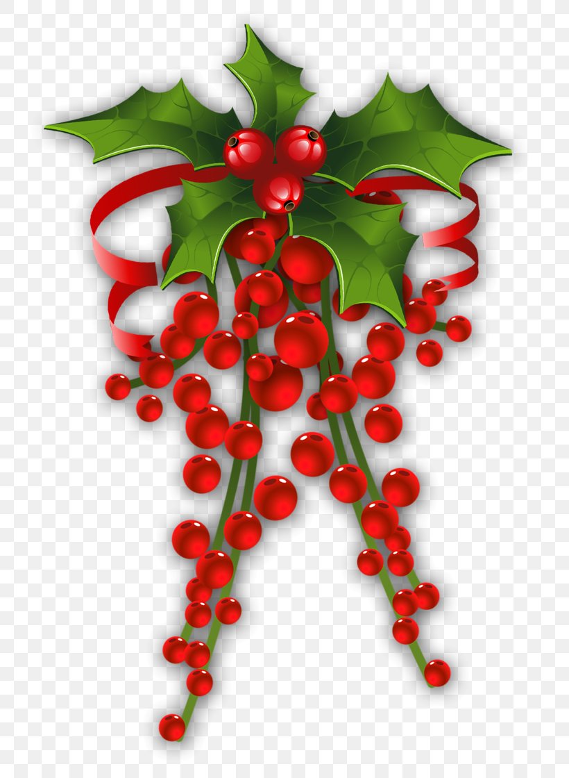 Christmas Decoration Mistletoe Clip Art, PNG, 752x1120px, Mistletoe, Aquifoliaceae, Aquifoliales, Art, Berry Download Free