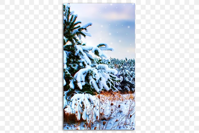 Desktop Wallpaper Mobile Phones Telephone Snow Wallpaper, PNG, 485x550px, Mobile Phones, Blog, Branch, Christmas Ornament, Christmas Tree Download Free