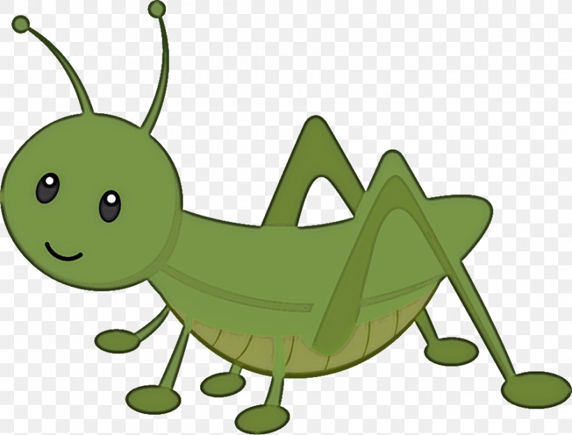 Insect Grasshopper Caterpillar Larva Locust, PNG, 900x684px, Insect, Caterpillar, Cricket, Grasshopper, Green Download Free