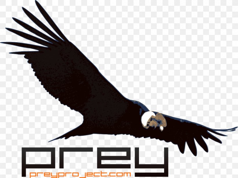 Prey Laptop Colca Canyon Computer Software Anti-theft System, PNG, 1000x747px, Prey, Accipitriformes, Android, Antitheft System, Bald Eagle Download Free