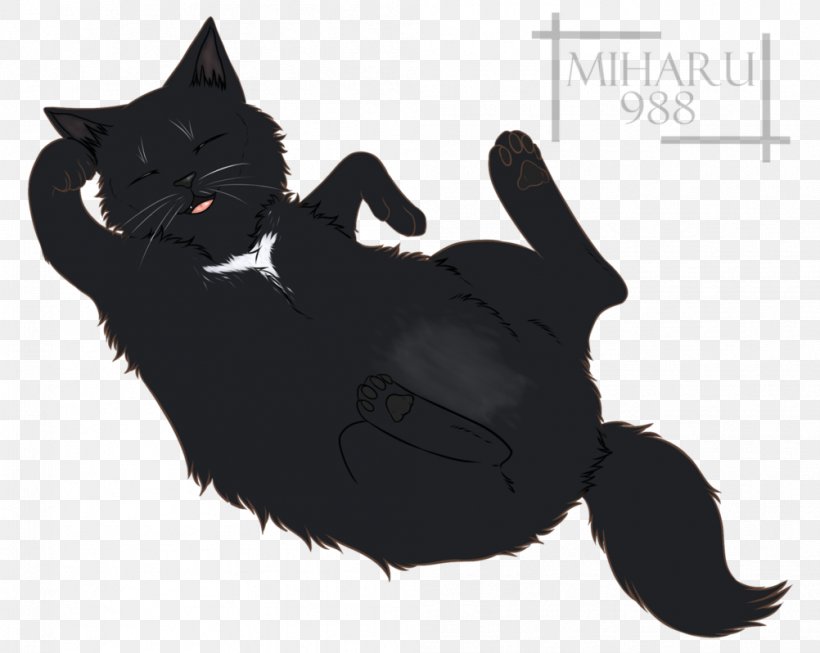 Whiskers Cat Paw Snout Claw, PNG, 1002x798px, Whiskers, Black, Black Cat, Black M, Carnivoran Download Free