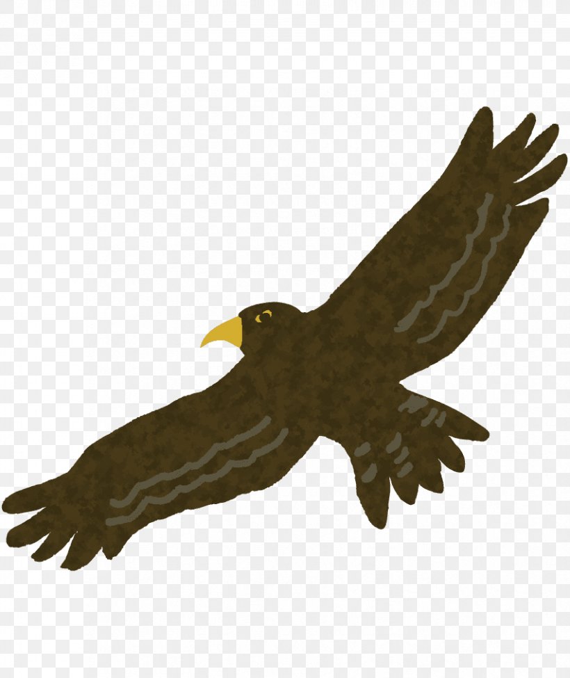 Eagle Hawk Buzzard Hatsuyume, PNG, 852x1014px, Eagle, Accipitriformes, Beak, Bird, Bird Of Prey Download Free