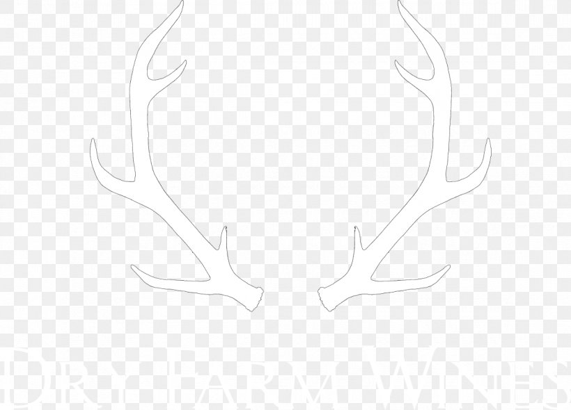 Reindeer Antler Product Design Pattern Art, PNG, 1170x843px, Reindeer, Antler, Art, Computer, Line Art Download Free