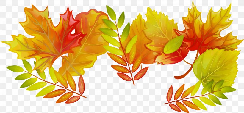 Watercolor Flower Background, PNG, 2999x1400px, Watercolor, Autumn, Autumn Leaf Color, Flower, Leaf Download Free