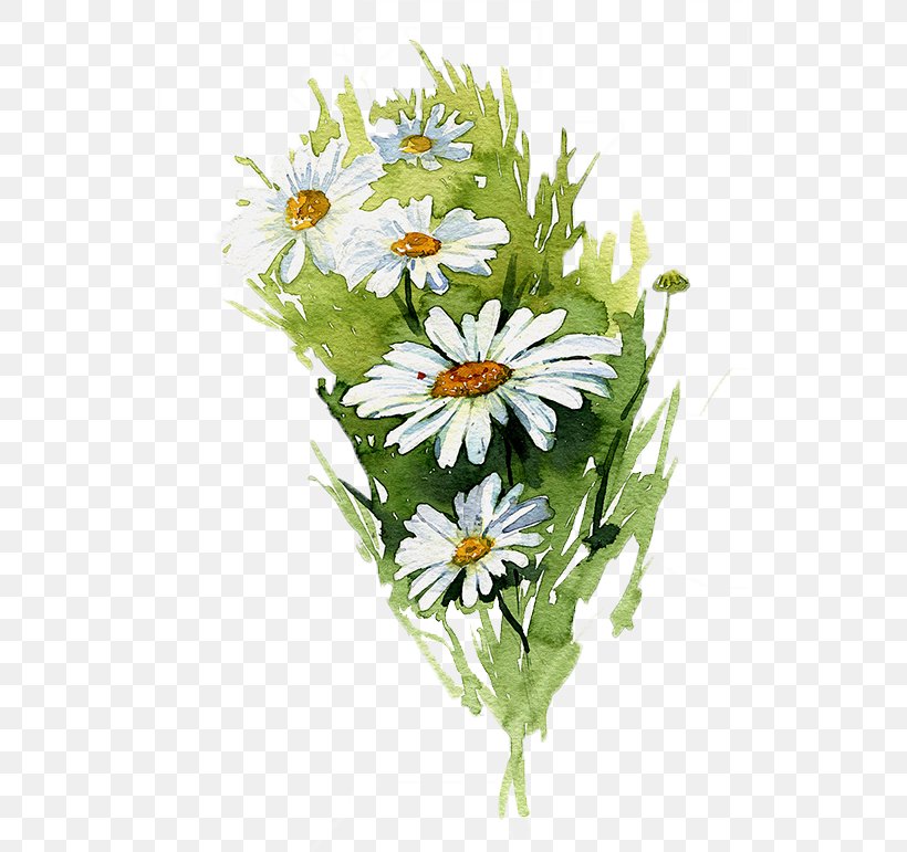 Watercolor Painting Common Daisy Illustration, PNG, 534x771px, Watercolor Painting, Art, Artificial Flower, Aster, Chamaemelum Nobile Download Free