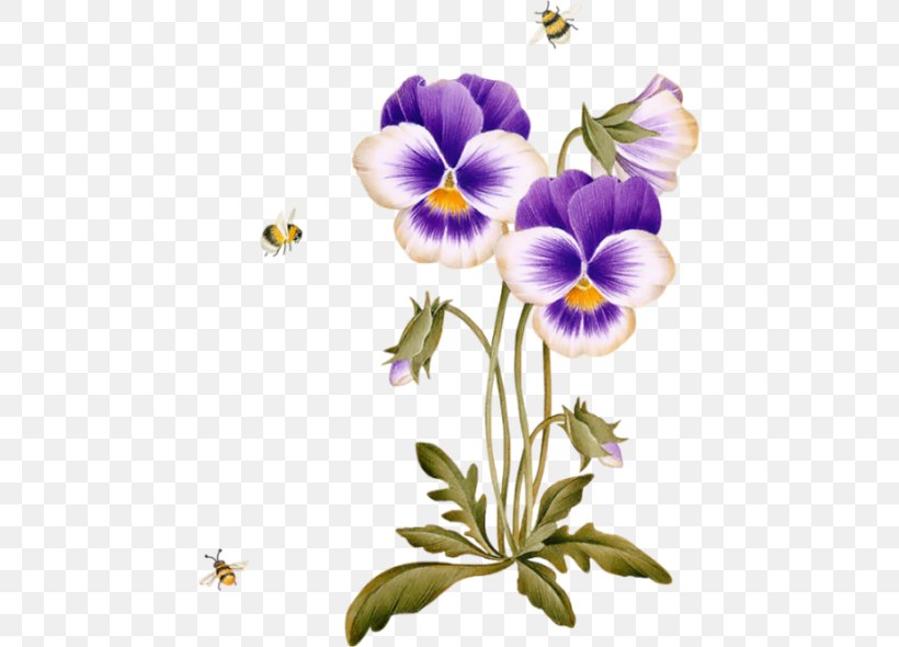 GIF Name Image Desktop Wallpaper Graphics, PNG, 457x590px, Name, Animation, Flora, Flower, Flowering Plant Download Free