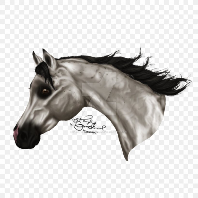 Mane Mustang Halter Pony Stallion, PNG, 894x894px, Mane, Black And White, Bridle, Drawing, Halter Download Free