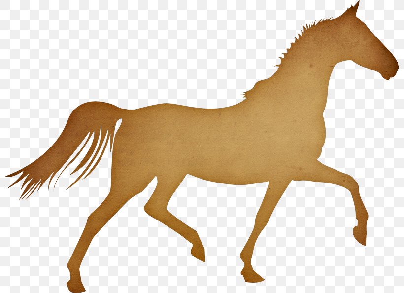 Pony Arabian Horse Trot Cap Equestrian, PNG, 800x594px, Pony, Animal Figure, Arabian Horse, Bridle, Cap Download Free