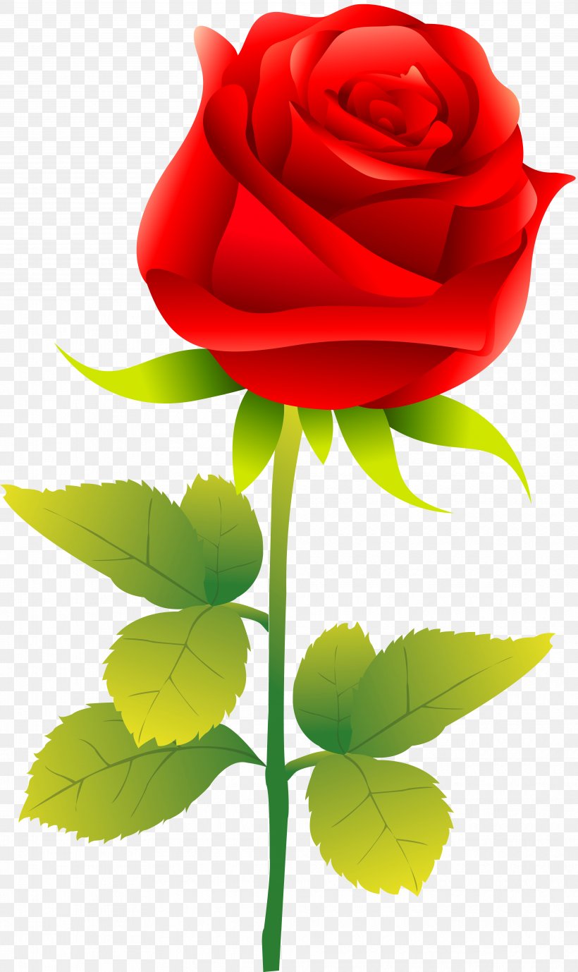 Rose Clip Art, PNG, 3931x6610px, Rose, Cut Flowers, Flora, Floral Design, Floristry Download Free