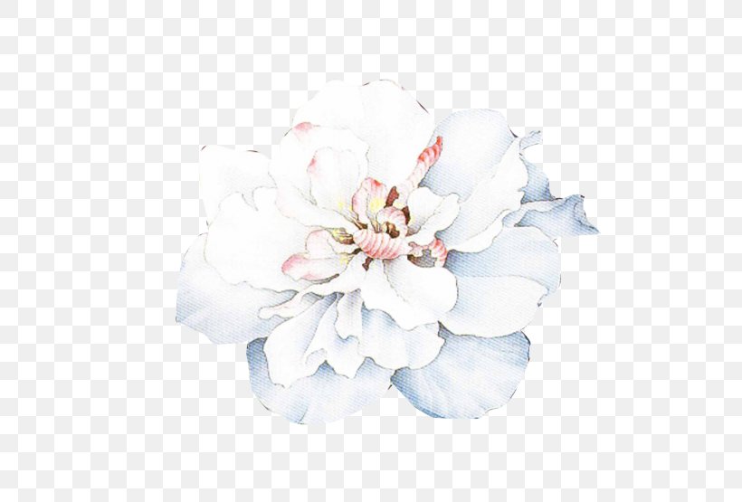 Watercolor Painting, PNG, 700x555px, Watercolor Painting, Cut Flowers, Floral Design, Flower, Flower Bouquet Download Free