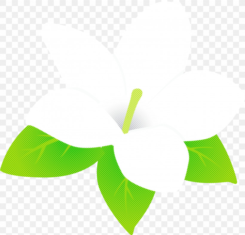 Jasmine Jasmine Flower, PNG, 2999x2875px, Jasmine, Green, Jasmine Flower, Leaf, Line Download Free