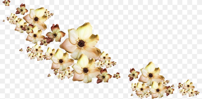 Kostroma .de Material, PNG, 800x403px, Kostroma, Body Jewelry, Com, Cut Flowers, Flower Download Free