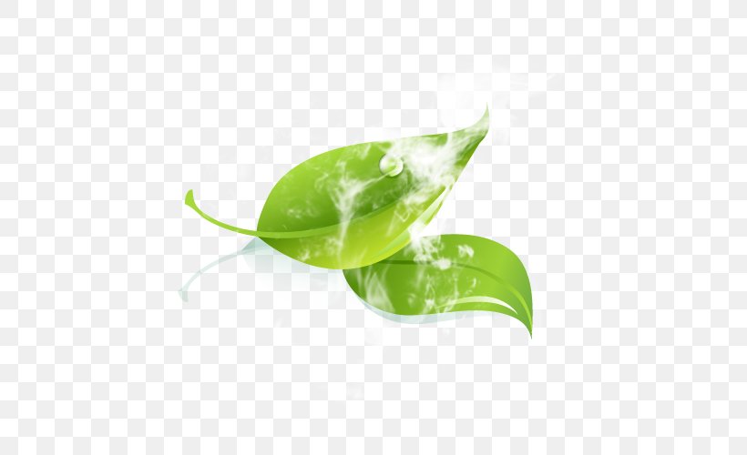 Leaf Green Water Plant Stem, PNG, 500x500px, Leaf, Closeup, Green, Plant, Plant Stem Download Free